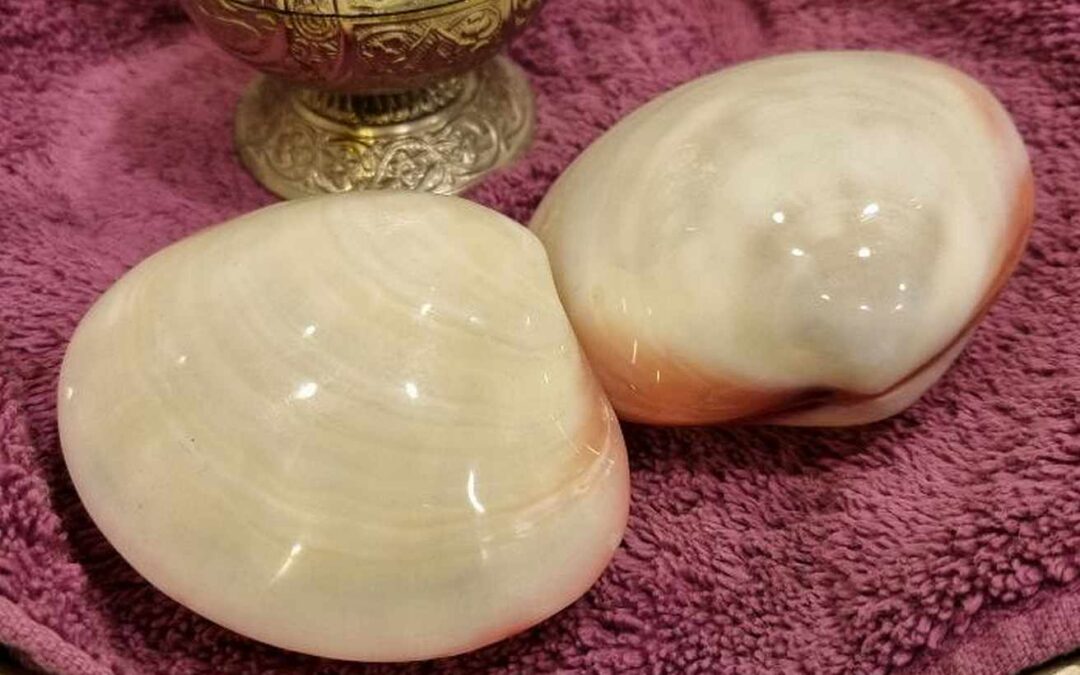 Lava Shells-Massage